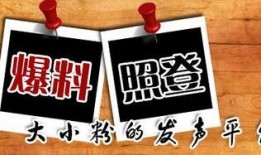 重庆八卦新闻爆料事件,揭秘最新爆料事件真相