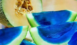 哈密瓜视频免费吃,揭秘免费品尝哈密瓜的神奇之旅