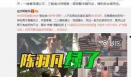 卓伟5年前爆料视频案件,真相与疑云交织