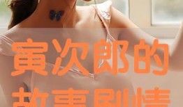 事情 在线观看,探索数字时代的观影新体验