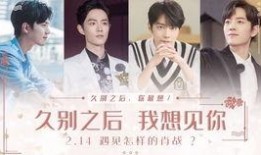 肖战情人节爆料了吗视频,视频揭秘甜蜜瞬间