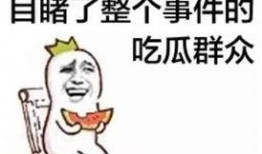 沙雕动画吃瓜系统娱乐圈,沙雕动画吃瓜系统带你笑看风云变幻