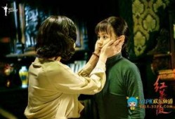 红蔷薇在线观看免费,免费在线观看，揭秘革命女性的传奇人生