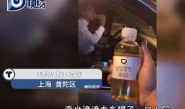 滴滴门在线观看,揭秘网约车平台背后的真相与争议