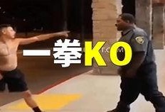伞兵爆料最新视频大全,揭秘战场真实瞬间