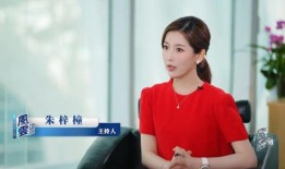 刘晶爆料录音视频大全最新,揭秘事件背后惊人真相