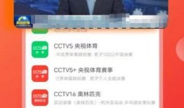 新闻爆料饭店视频播放下载,下载观看引发热议