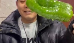 咬米吃瓜网红事件真相,揭秘背后真相与争议