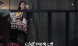 小汪姐姐爆料视频大全下载,揭秘娱乐圈幕后故事