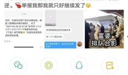 枞阳黑粉爆料视频大全,视频大全背后的真相与争议