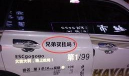 网红车贴吃瓜,揭秘网络红人的神秘生活