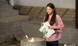 农村爆料结局视频大全集,视频大全集幕后真相大起底