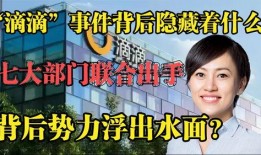 滴滴门在线观看,揭秘网约车平台背后的真相与争议