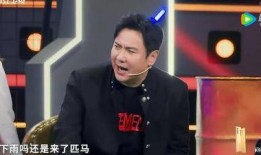 扒哥爆料沈腾是哪一期视频,沈腾加盟哪一期视频引发热议
