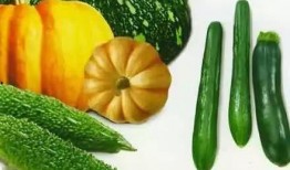 林同学的瓜在哪里免费吃,免费瓜果盛宴等你来享