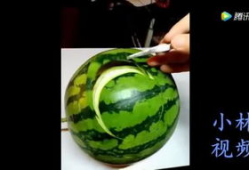 哈密瓜视频免费吃,揭秘免费品尝哈密瓜的神奇之旅
