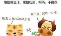 幼师爆料视频大全下载,揭秘幼儿园真实内幕