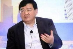 爆料徐小平视频大全最新,最新视频爆料背后的真实故事