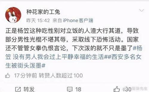 娱乐圈搞笑吃瓜小说免费阅读,笑料百出，瓜田乱舞，免费畅读